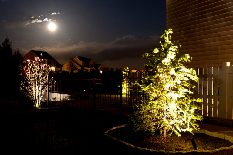 Landscape & Accent Lighting Greenline Lawn and Landscape